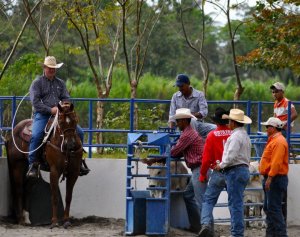 166824_190316077647196_180362688642535_740045_7650042_n